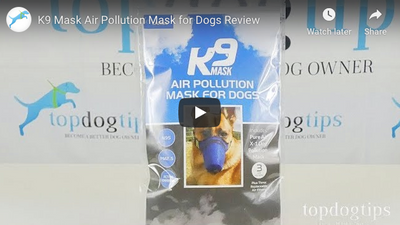Top Dog Tips K9 Mask Video Review