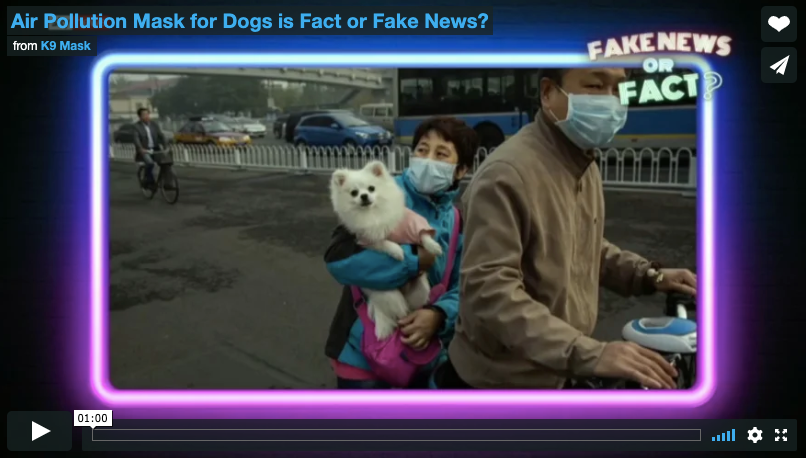 Dog Pollution Air Filter Mask Videos