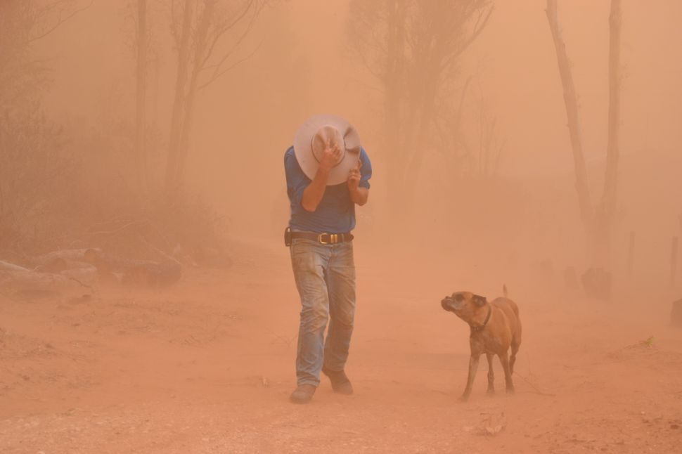 Comprendre les bases de l'indice de qualité de l'air (IQA) pour votre chien