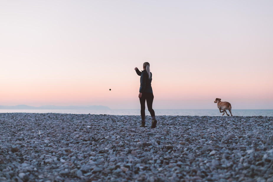 Florida Red Tide Exposing Dogs to Toxins