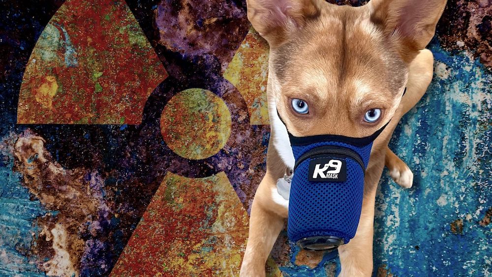 K9 Mask Dog Air Filter Nuclear Radiation Protection