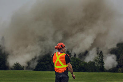 Dog's Suffering from Intense Smoke with Respiratory Problems