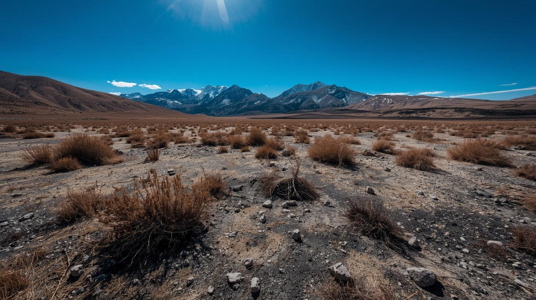 Low Snowfall Rocky Mountain that Could Mean Dangerous Wildfire Season