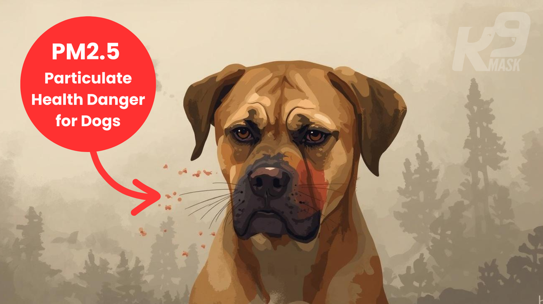 PM2.5 Particulate Health Danger for Dogs Best Smoke Mask