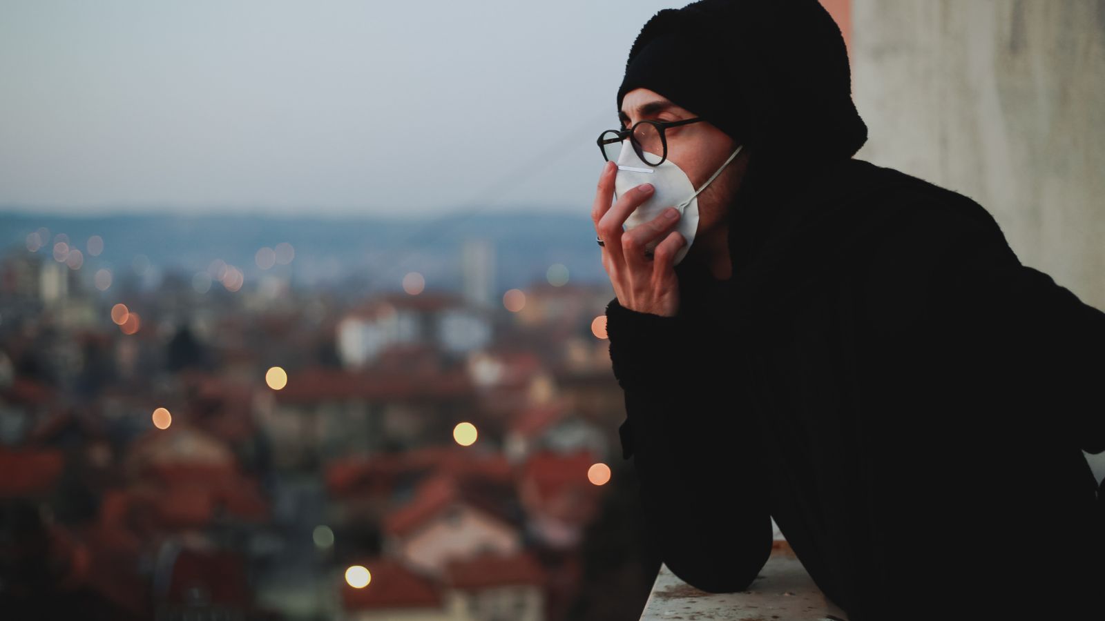 حماية كلبك في عام 2024: دليل شامل لحماية جودة الهواء