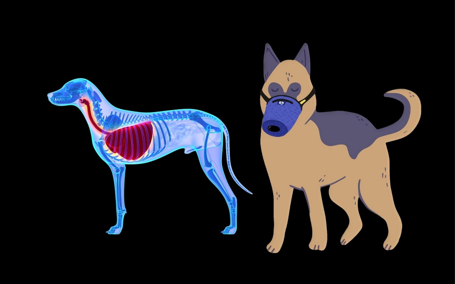 Understanding a Dog’s Respiratory System and Why Protection with an Air Filter Mask is Critical