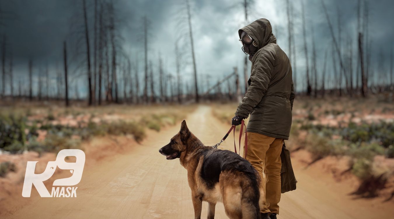 Preparing an Emergency Kit Bug Out Bag for Dogs During War
