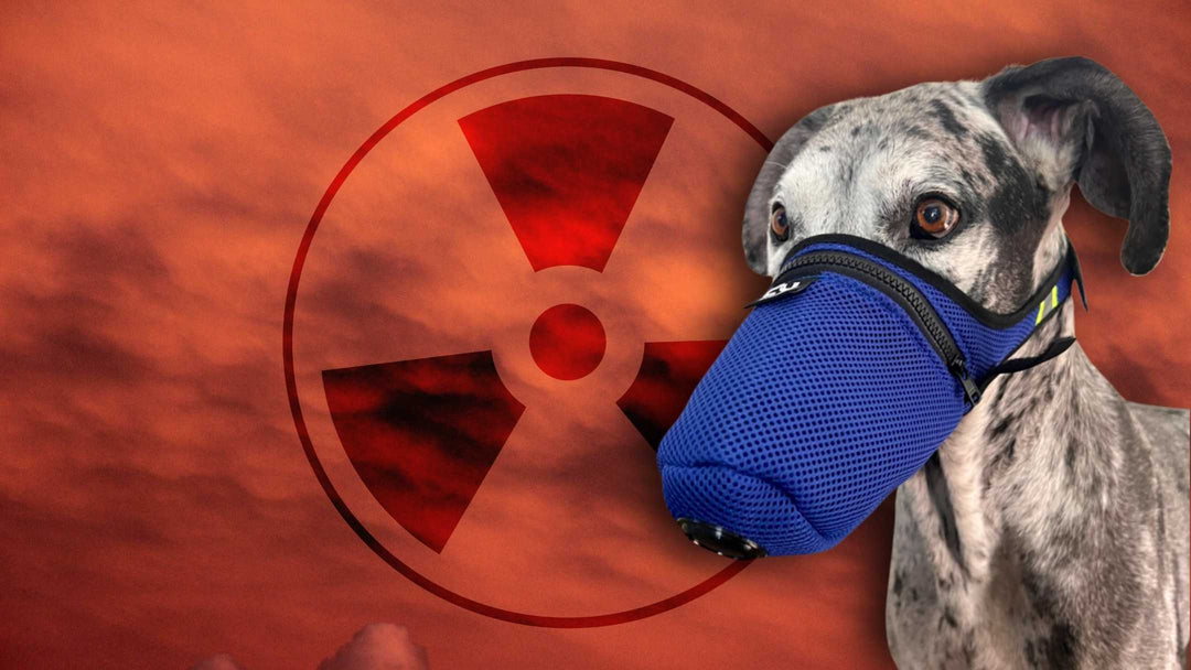 Dog Gear K9 Mask Air Filter Respirator Mask for Radiation War Time Protection