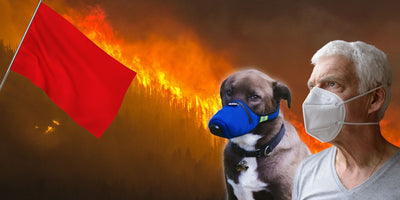 Why are Wildfire Red Flag Warnings Important for Pet Owners?