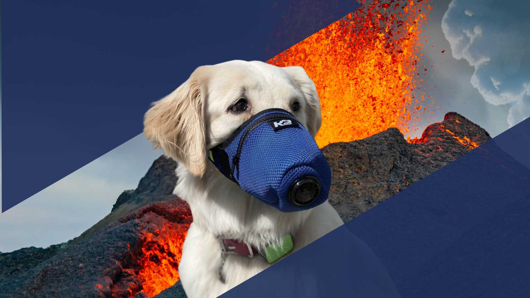 Mount Spurr Alaska Volcano Eruption Dog Air Filter Mask for Ash K9 Mask