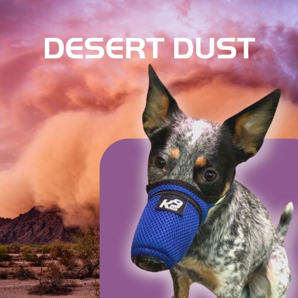Desert_Dust_air_quality_K9_Mask_air_filter_for_dog