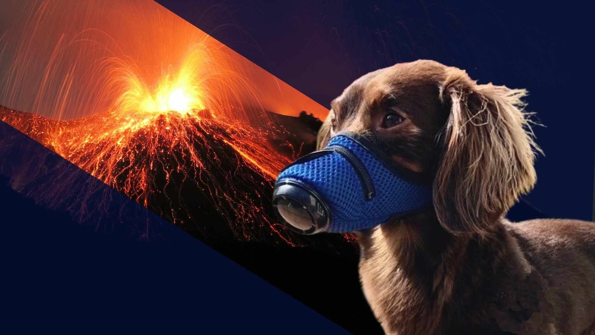 2025 Alaska Volcano Toxic Ash Dog Air Filter Mask Smoke Gas Chemicals Mount Spurr K9 Mask Gear Health Protection