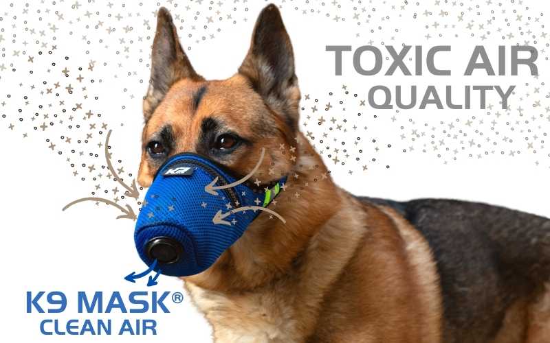 Filtro dell'aria con maschera K9 per cani in qualità dell'aria tossica Respiratore per polveri di cenere e fumo AQI per sostanze chimiche per incendi boschivi