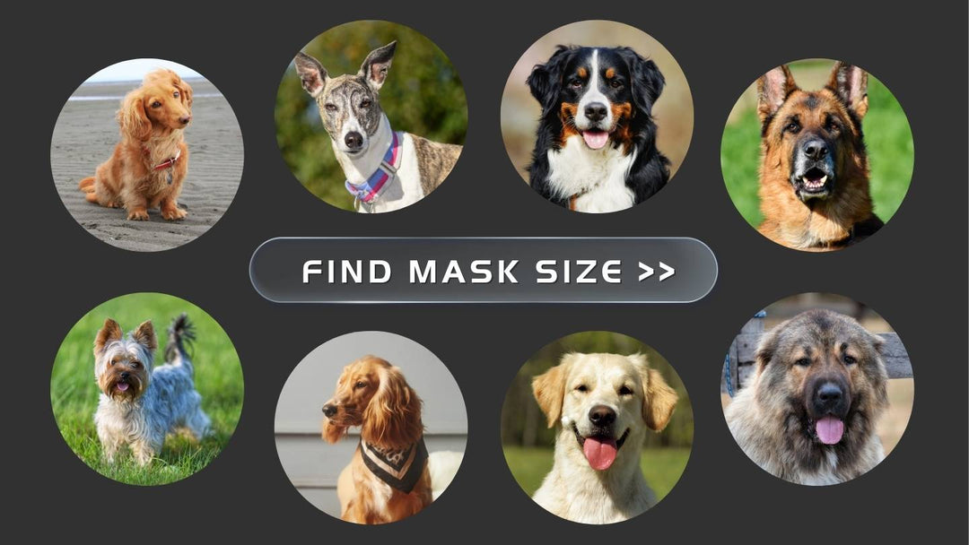 Find K9 Mask Size Sizing for dog Small Medium Large Extra