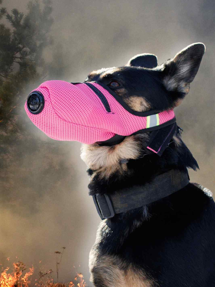K9 MASK DOG FILTER AIR MASK SMOKE WILDFIRE HEALTH N95 GAS