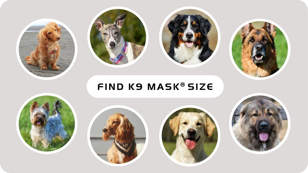 Find K9 Mask Size Sizing for dog Small Medium Large Extra