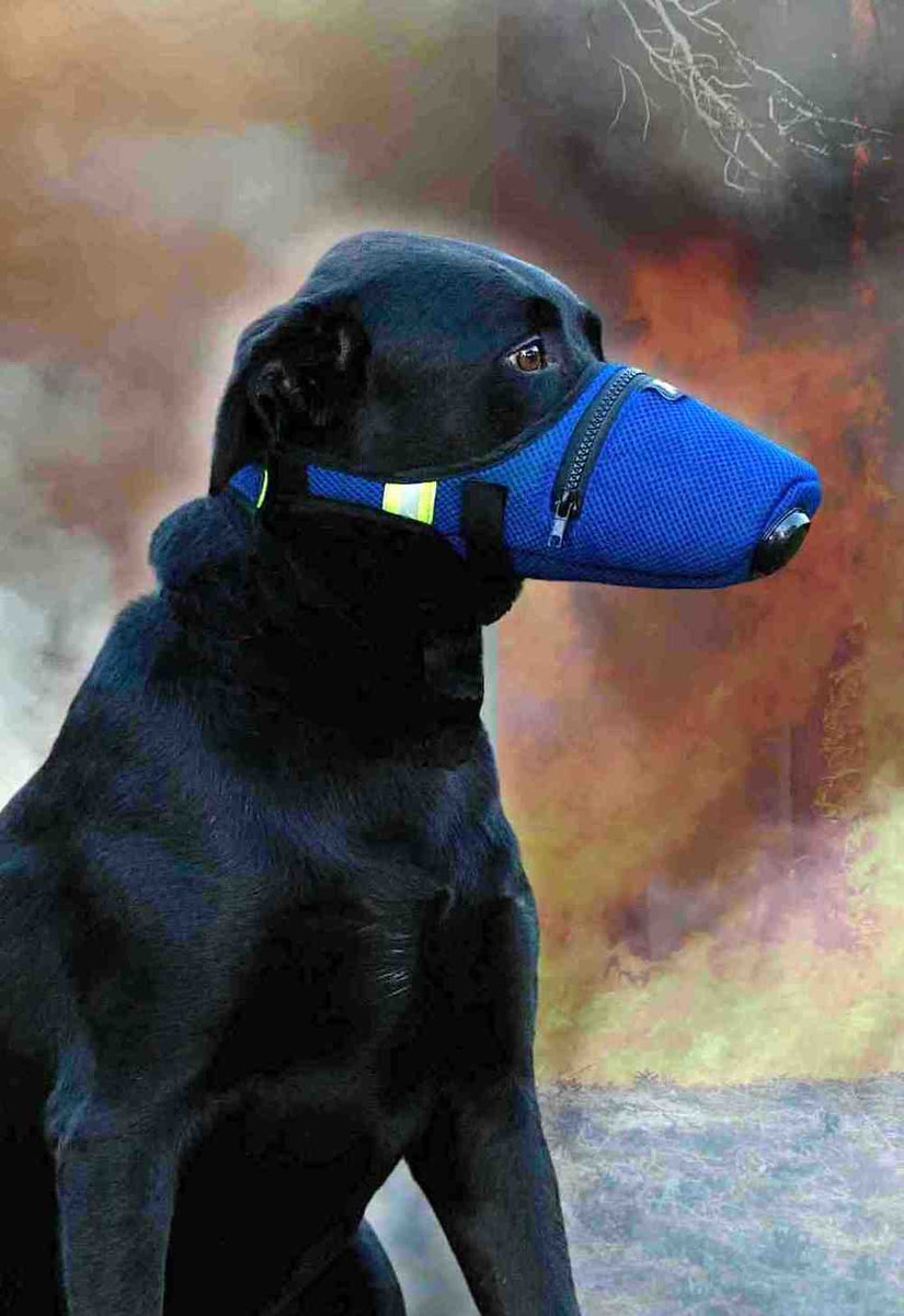 K9 Mask® Dog Air Lim Lub ntsej muag lub ntsej muag rau dev rau haus luam yeeb, plua plav, tshauv, paj ntoos, kua muag roj, dej nyab, tshuaj lom neeg, tshuaj tsis haum