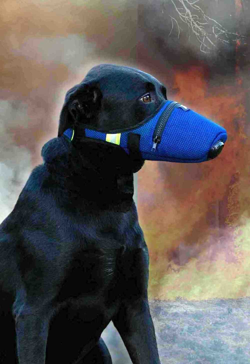 K9 Mask® N95 Air Filter Mask for Dogs in Smoke, Ash, Dust, Tear Gas