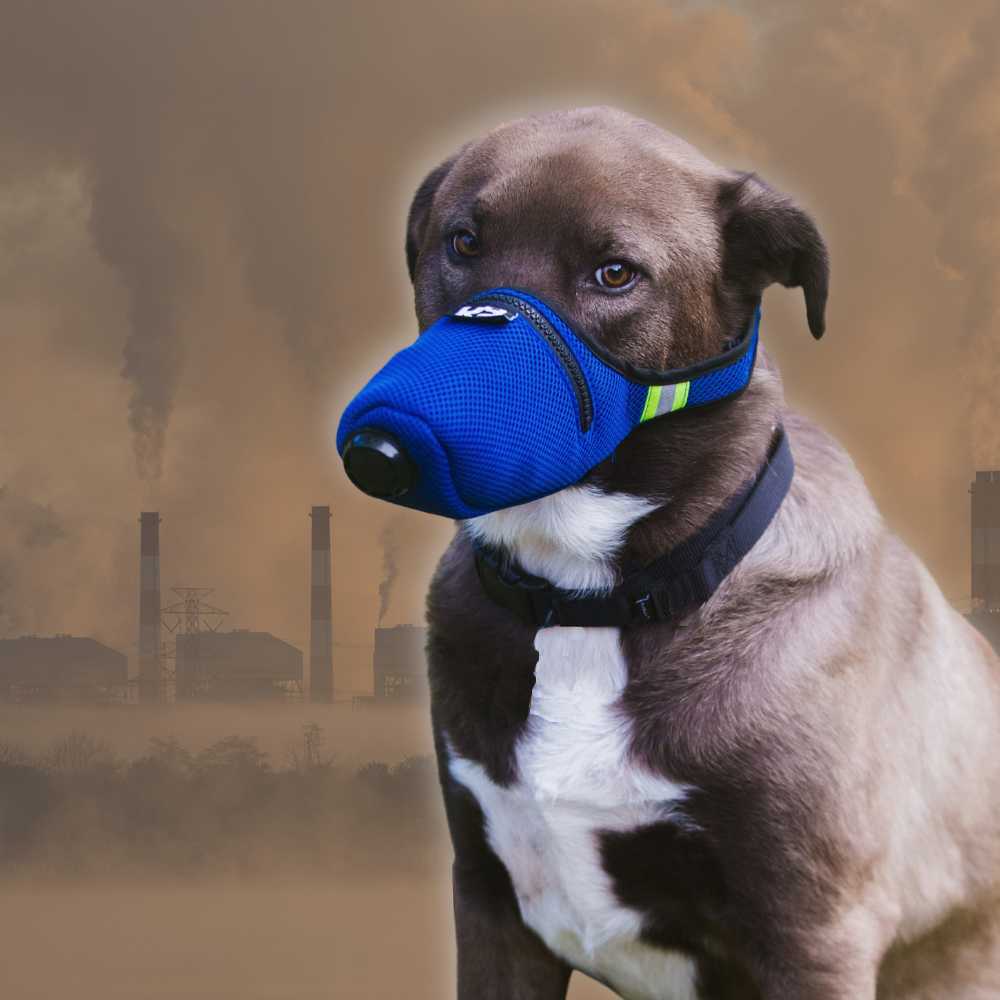 Luchtfiltermasker voor chemisch gas voor honden K9