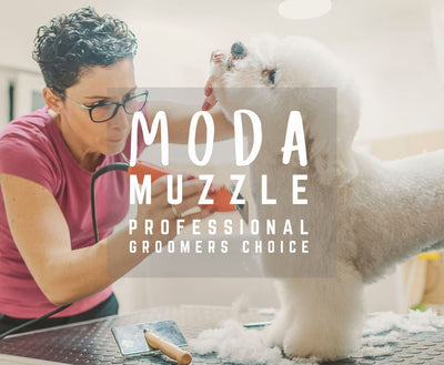 Moda Muzzle: K9 Comfort Soft Mesh Mask for Dogs 4-Size Bundle Pack