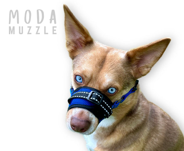 Moda Muzzle Soft Mesh Comfort Durable Strong Dog Mask Hero Made in USA for Groomers Trainers K9 Owners