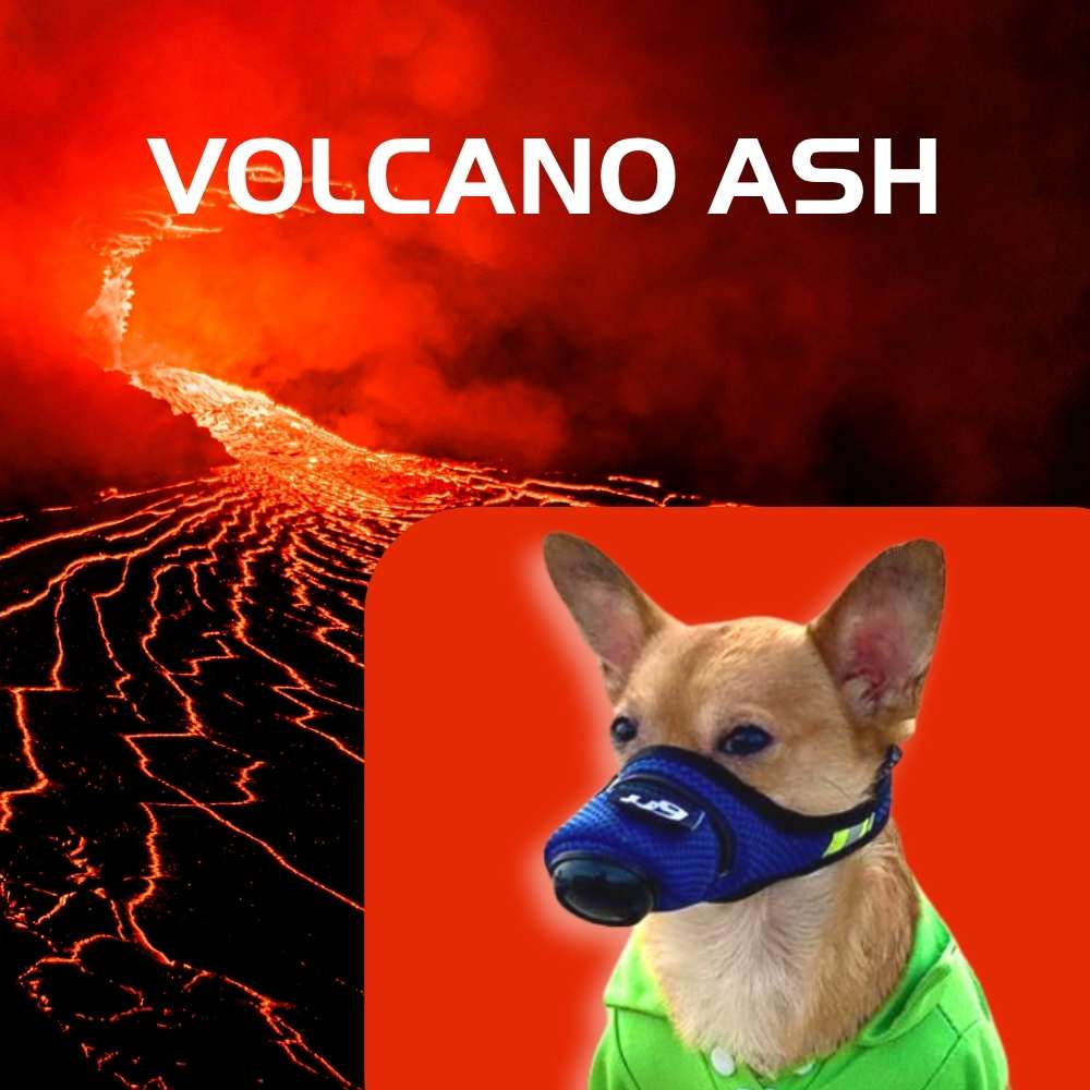Volcano_Ash_K9_Mask_air_filter_for_dog