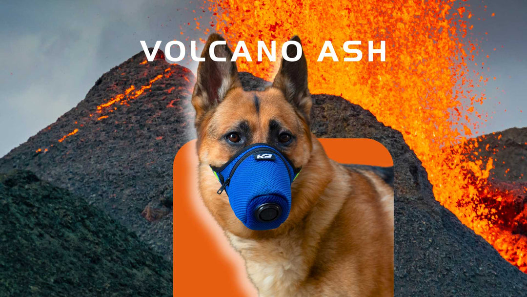 Air Filter Mask for Dog in Volcano Eruption Volcanic Ash Respirator 