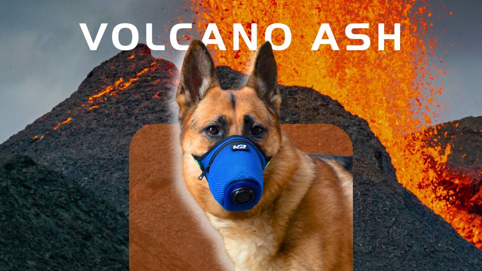 Dog Air Filter Mask in Volcano Ash Volcanic Respirator 
