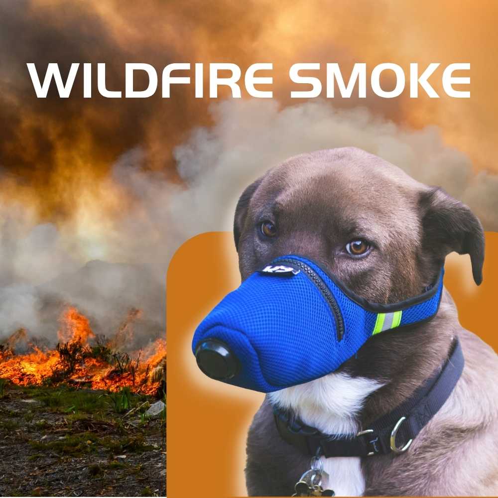 Is_it_safe_to_use_K9_Mask_air_filter_mask_for_dogs_in_smoke_ash_dust_fire_chemical