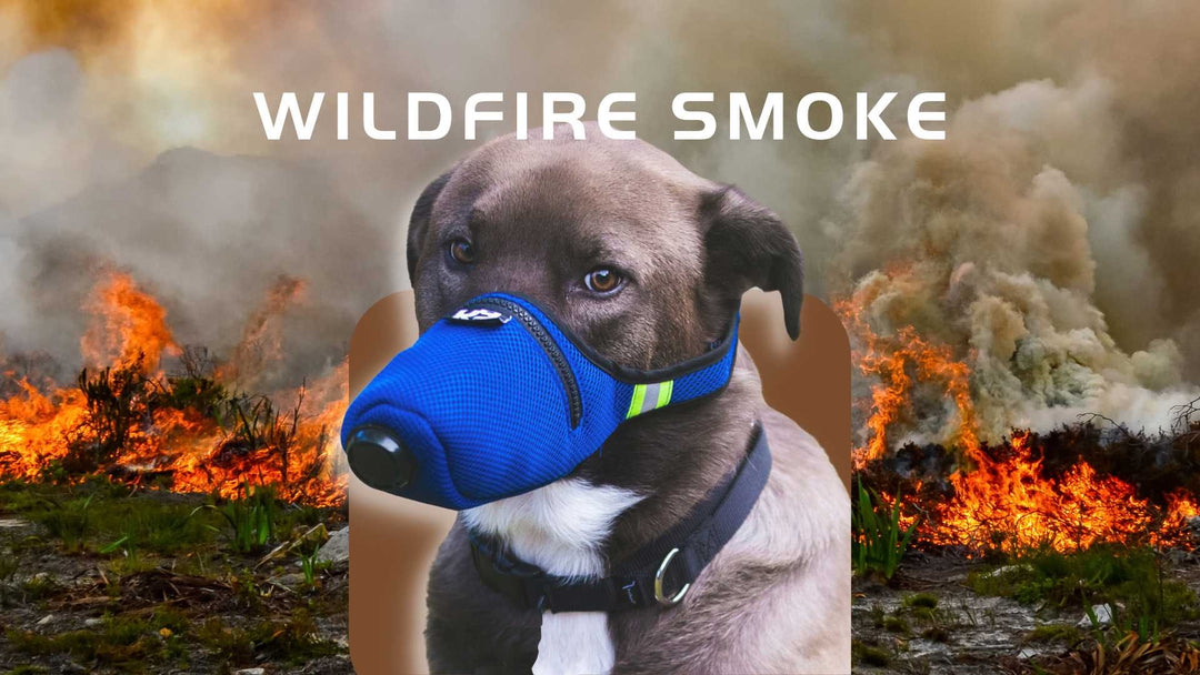 Air Filter Mask for Dog in Wildfire Smoke Respirator Health Protection