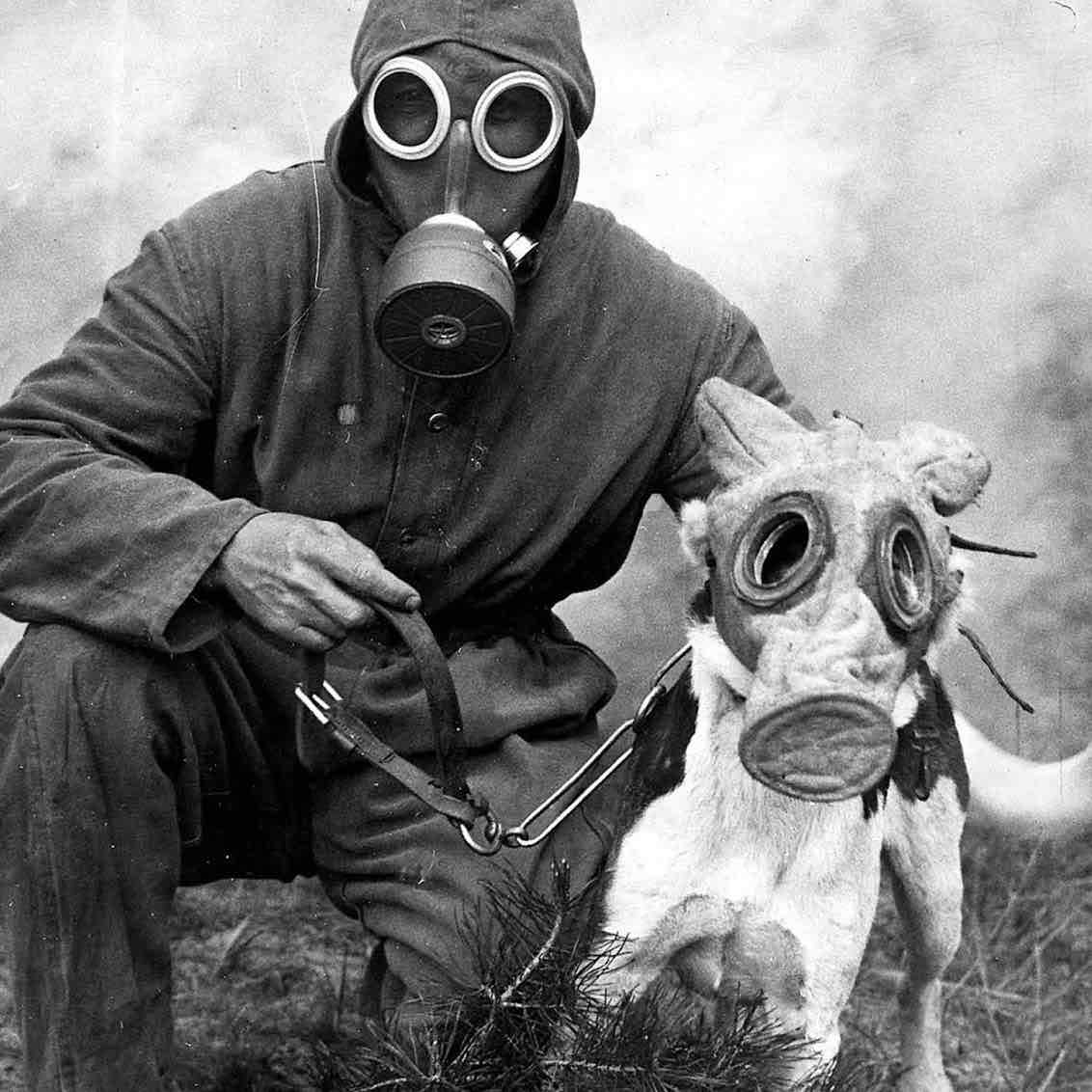 犬用防毒マスク 化学煙 催涙ガス 有毒空気 軍事史