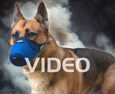 Video K9 Mask® Air Filter Face Smoke Mask for Dogs
