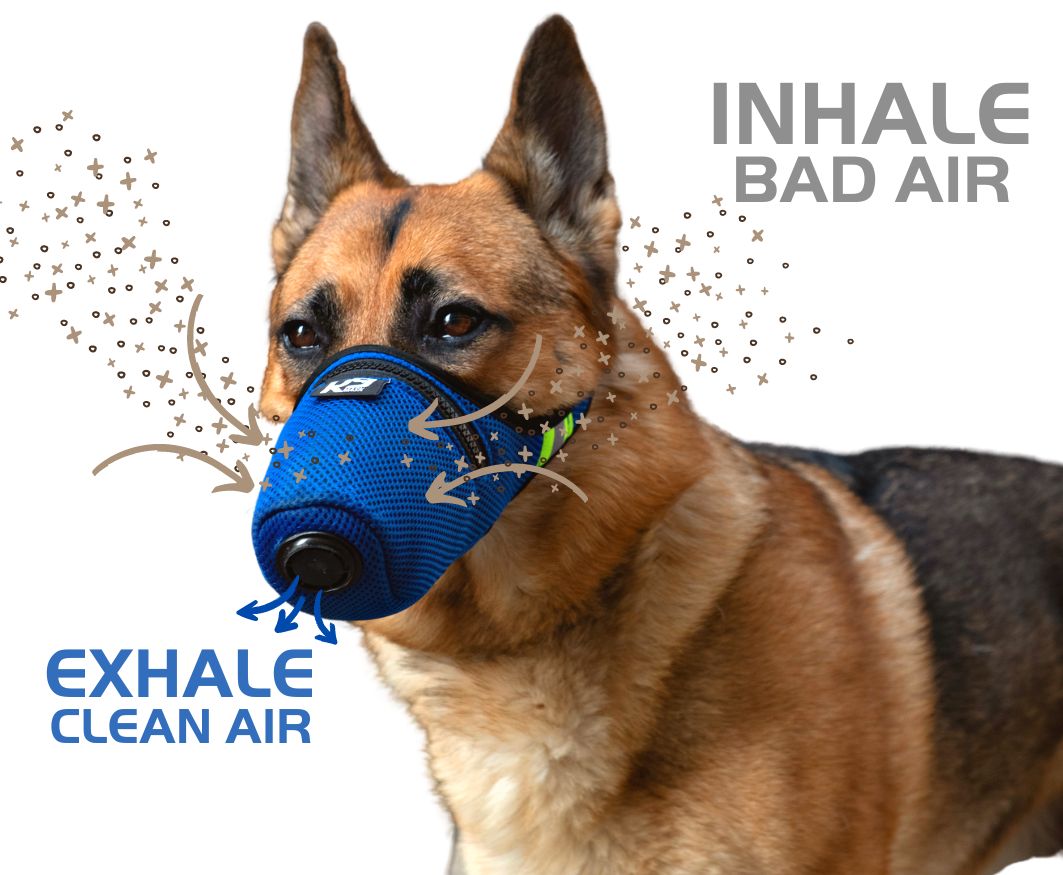 How Dogs Breathe in K9 Mask Inhale Exhale Panting